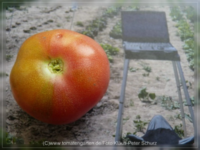2012Dagestanskije_Fruit4.jpg