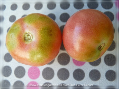 2012Dagestanskije_Fruit7.jpg
