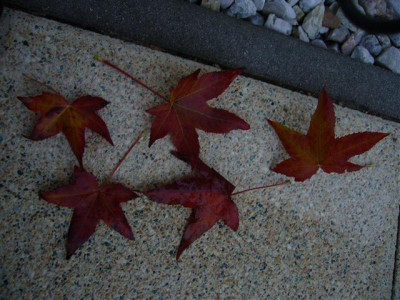 P1020175_Small.JPG