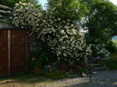 Lykkefund_6-2012.jpg