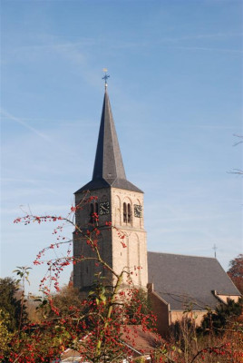 C5078_Large.JPG