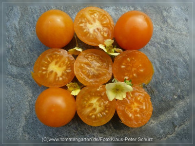 2012_Wow_cherry_Fruits2.jpg