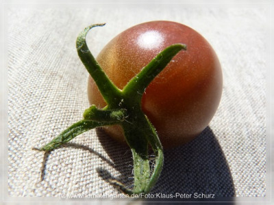 2012Black_Pearl_Fruit1.jpg