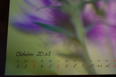 Kalender-Nov1912.jpg