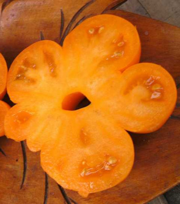 K640_Beuteltomate_aus_El_Salvator__8.3__10.JPG