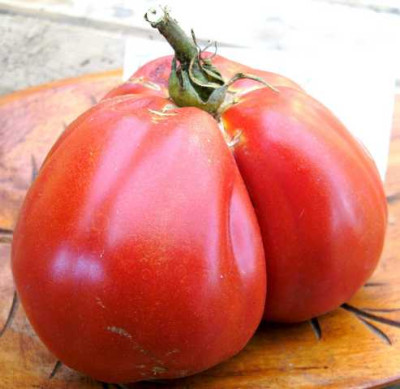 K640_Beuteltomate_aus_Italien__8.12__3.JPG