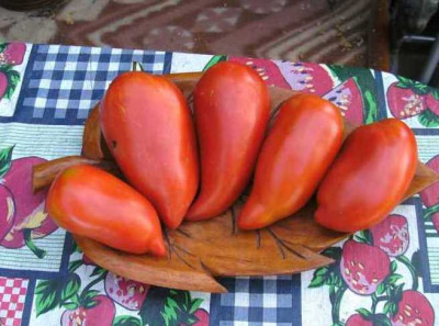 A.Kommunista.JPG