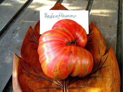 K640_Kopie_von_Bodenflamme__7.22__5.JPG