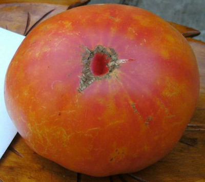 K800_Ananas__8.7__3__E.JPG