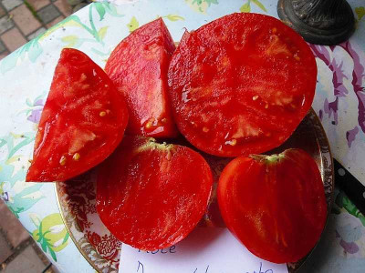 K800_Rote_Ingerltomate__09_15-3__aufgeschnitten.JPG