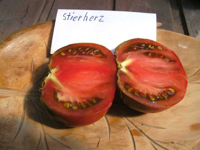 K800_Stierherz__7.24__4__geschn.JPG