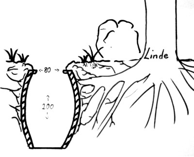 Schacht_Linde.JPG