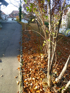 Gartenweg.JPG