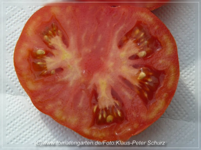 Marmandino_Sliced1.jpg