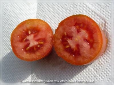 Ochsenwerder_HoernchenSliced2.jpg