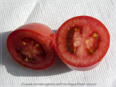 Romana_Sliced1.jpg