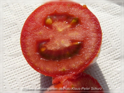 Romana_Sliced2.jpg