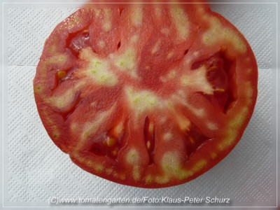 Pink_Wonder_Sliced1.jpg