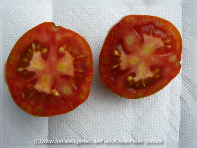 Red_Tiger_Sliced1.jpg