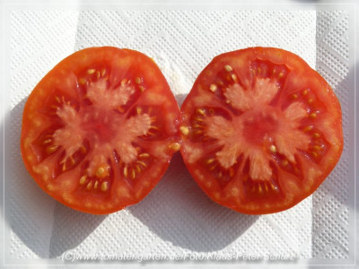 Thomas_Sliced1.jpg