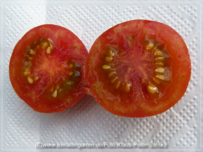 Schmatzefein_Sliced2.jpg