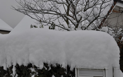Dezemberschnee_12__5025.jpg