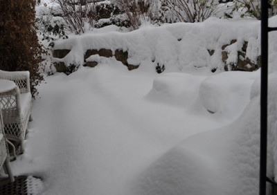 Dezemberschnee_12__5027.jpg