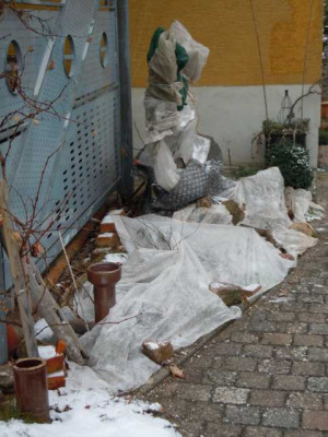 winterschutzer_dez_2012_002.JPG