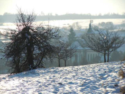 winterl_Sudspessart.JPG