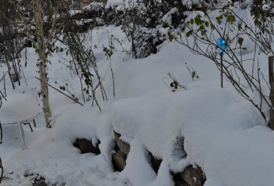Schnee_12__5063.jpg