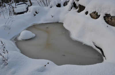 Teich_12__5078.jpg