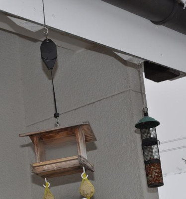 Vogelhaeuschen_mit_Zug_12__5107.jpg