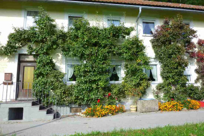 Wandspalier.jpg