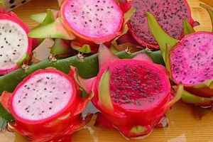 Pitahaya_Thai.jpg