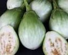 eggplant.jpg