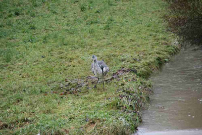 verkleinert-Dez.0612.jpg