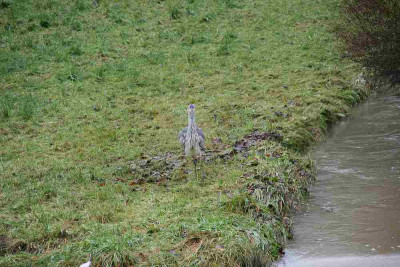 verkleinert-Dez.0712.jpg