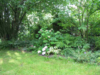 Waldgarten_2_1024x768.jpg