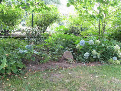 Waldgarten_4_1024x768.jpg