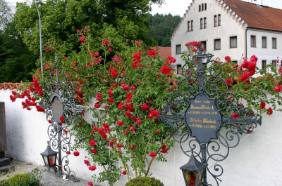 Rose_Heinfels01207d.jpg
