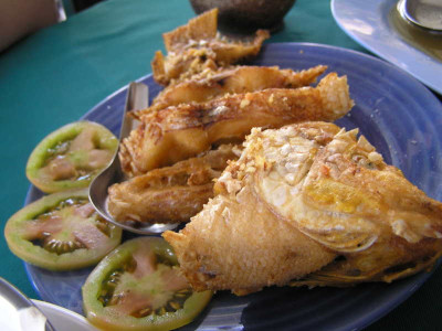 fischthailand2010.jpg