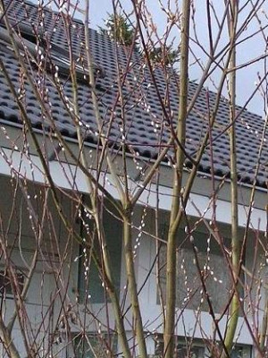 voerde20kl.jpg