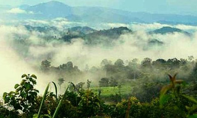 Phu_Ruea_Evening_Farm_View.jpg
