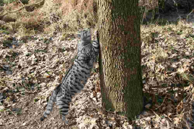 verkleinert-Dez.A_2812.jpg