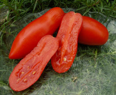 6_vv_Banan_Tomate_Bild_.jpg