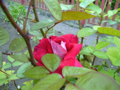 K640_BILD3832.JPG