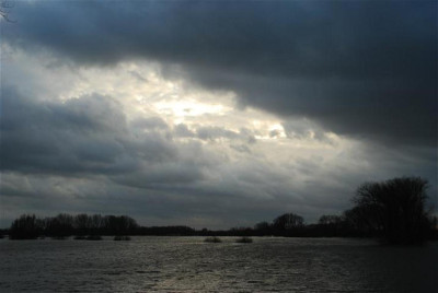 C5364_Small_Medium.JPG