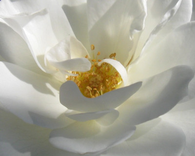 IMG_5840aa.jpg