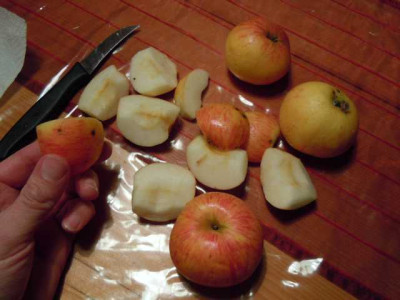gravensteiner_anf_jan.JPG