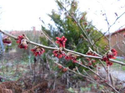 05.01.12_005.JPG